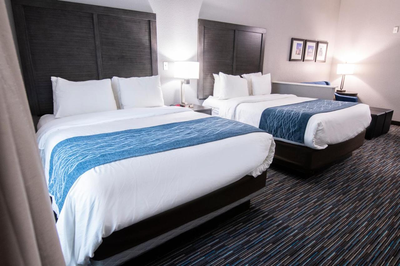 Comfort Inn & Suites Near Medical Center San Antonio Ngoại thất bức ảnh