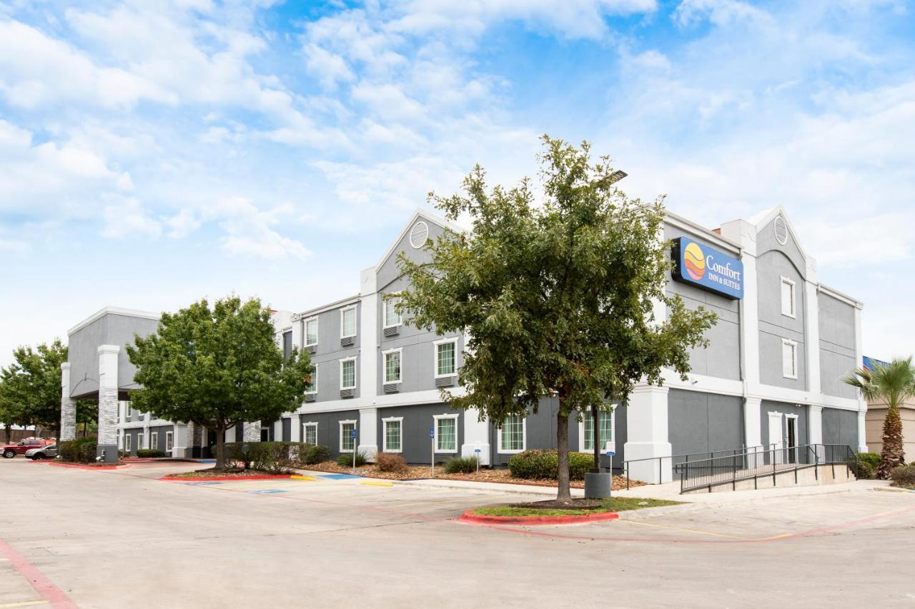 Comfort Inn & Suites Near Medical Center San Antonio Ngoại thất bức ảnh