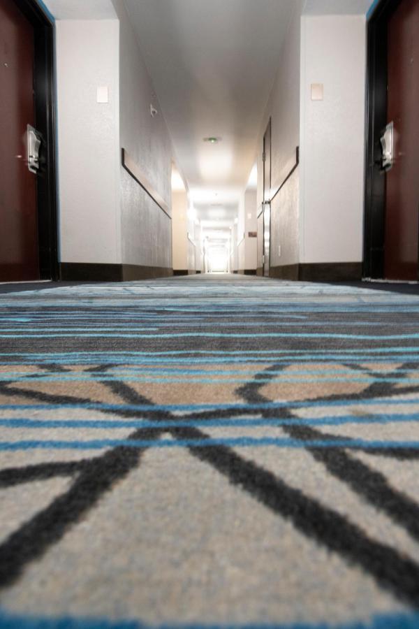 Comfort Inn & Suites Near Medical Center San Antonio Ngoại thất bức ảnh