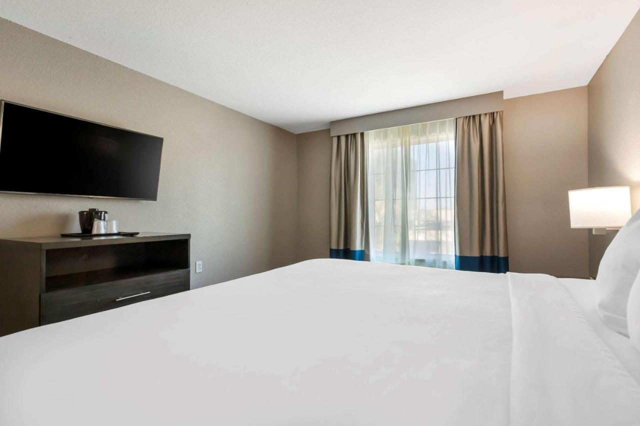 Comfort Inn & Suites Near Medical Center San Antonio Ngoại thất bức ảnh